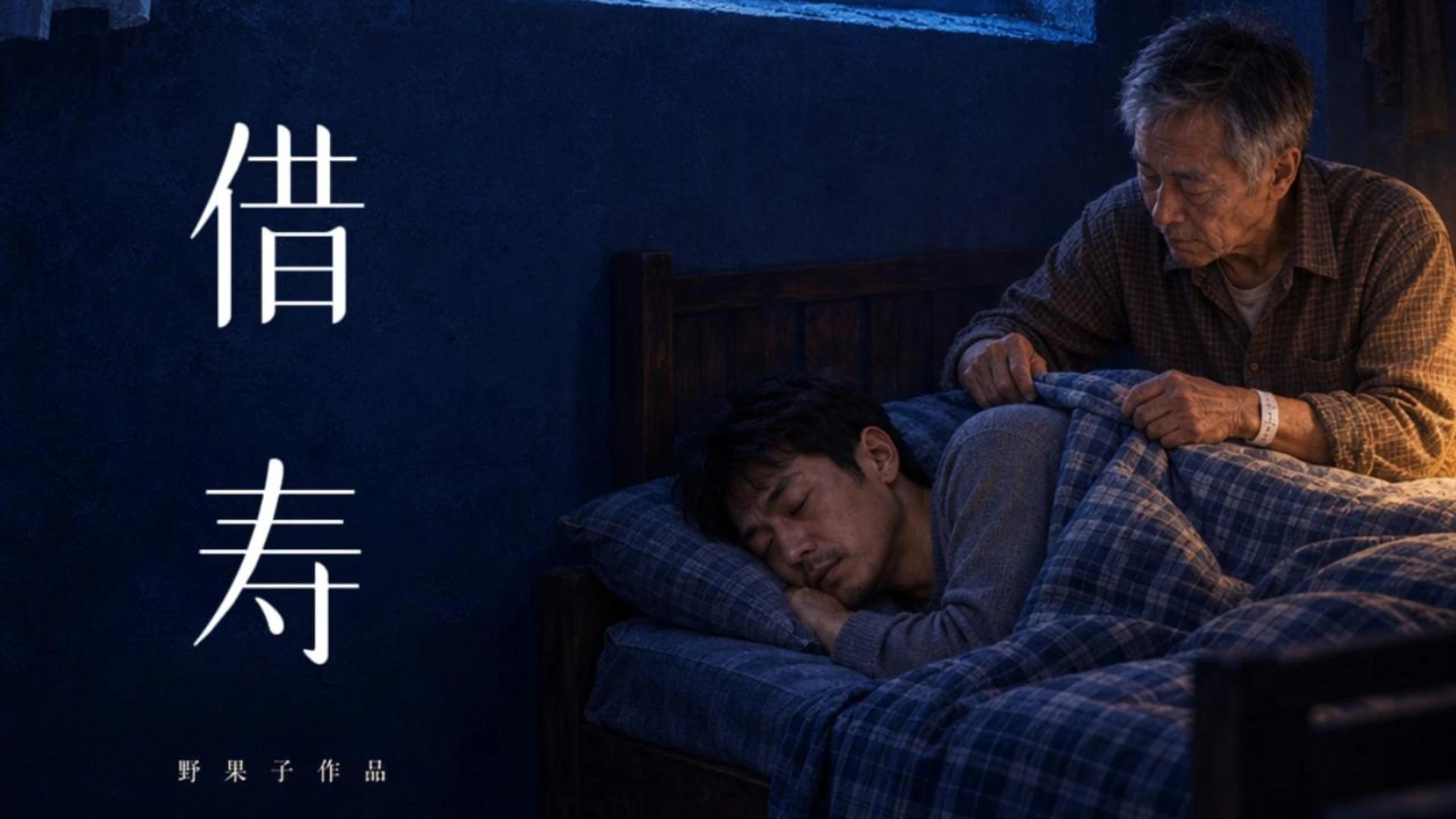 《借寿》海报